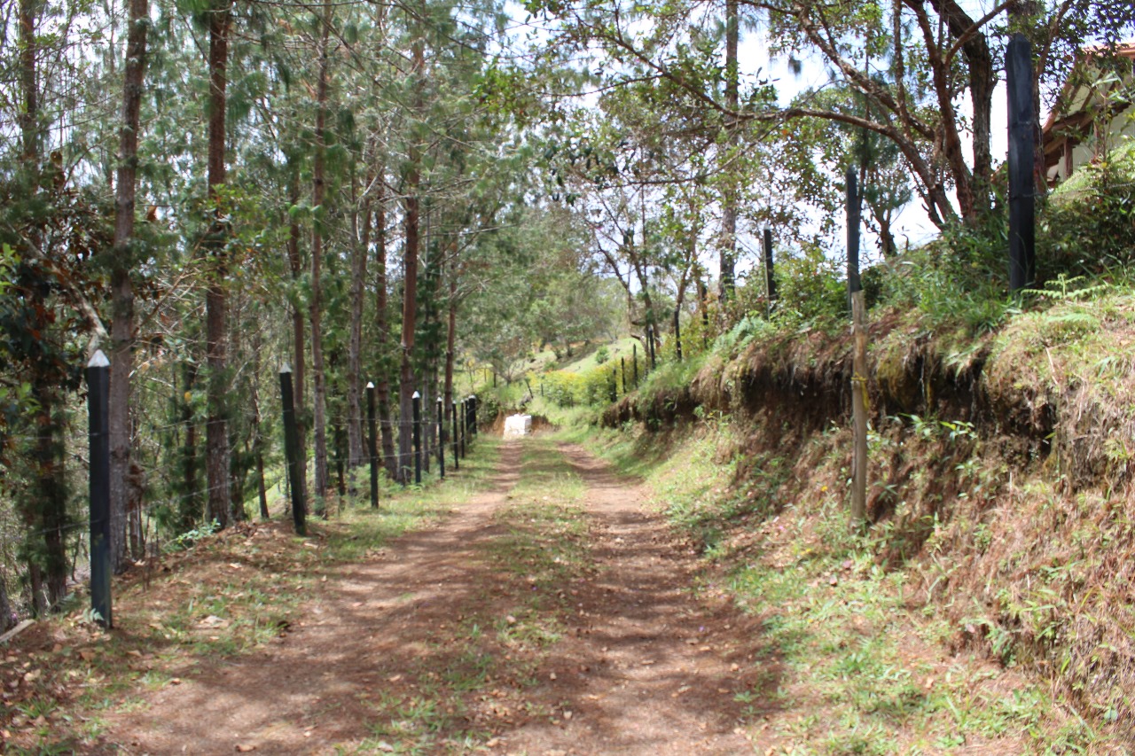 https://mmiprhedhizonliwnpui.supabase.co/storage/v1/object/public/gallery/42ee9669-1612-45f1-90c1-656960b0356f.png